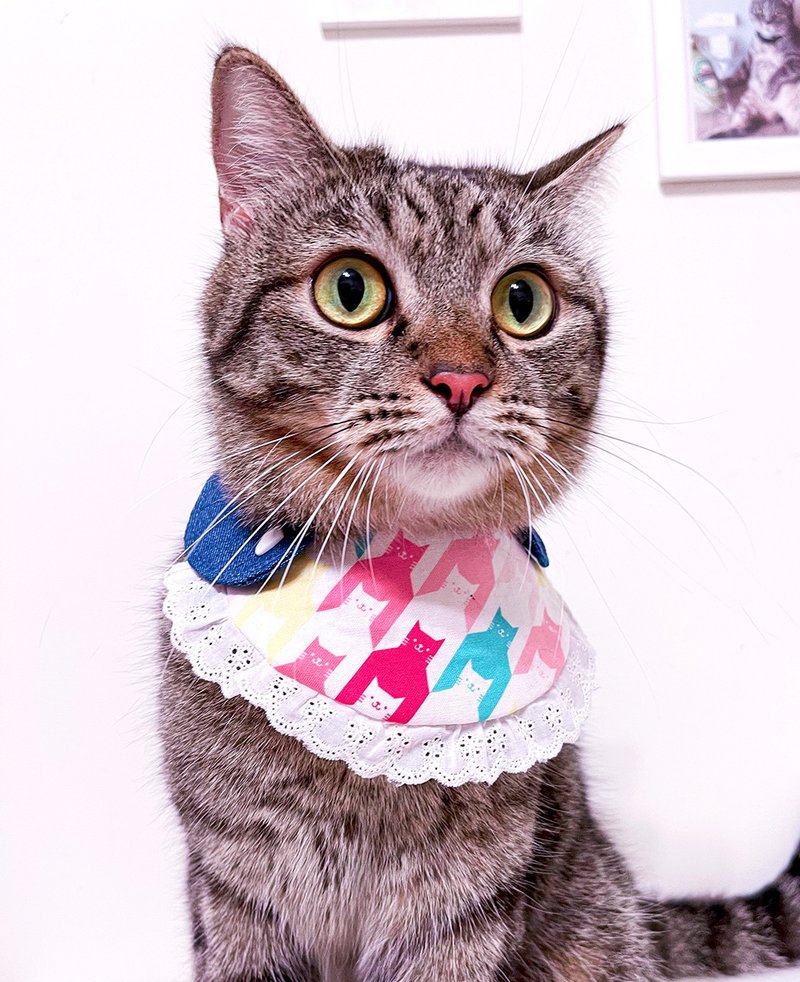 主子卖萌-随心所欲系列-可拆式牛仔混搭双面领巾(1领片+1领巾) - 衣/帽 - 棉．麻 多色