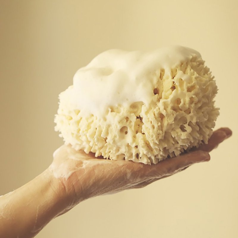 希腊天然羊毛丝身体海绵【顶级款】 - 卫浴用品 - 植物．花 黄色