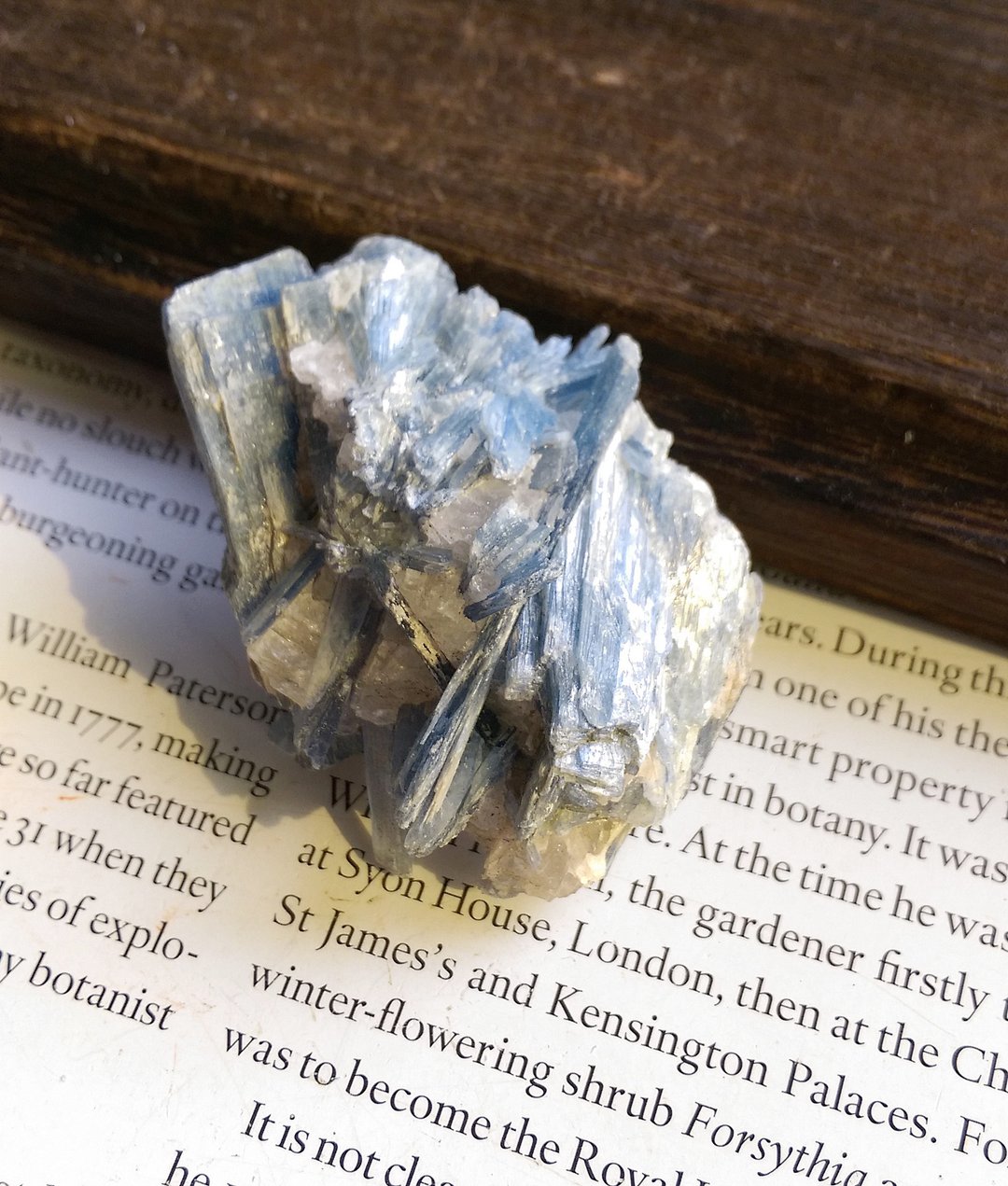Kyanite 巴西产地 蓝晶石 石英共生矿 天然矿石 原矿 - 摆饰 - 其他材质 