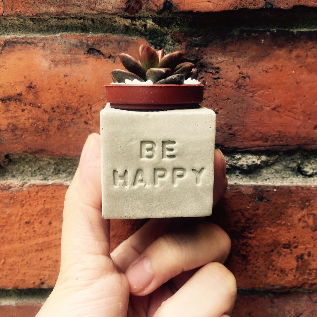 Be Happy~!多肉磁铁盆栽 - 植栽/盆栽 - 水泥 灰色