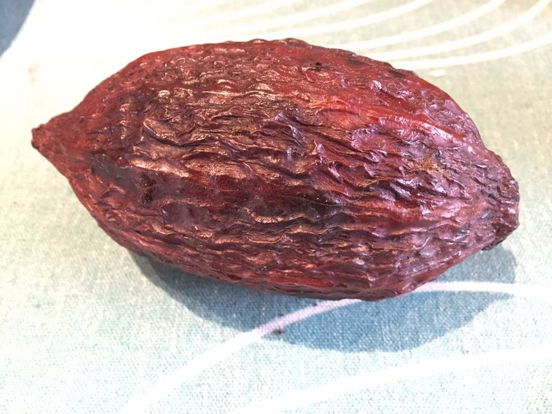 【巧遇农情-CHOMEET】- 马雅国王的宝物_可可果实_摆饰 A1 - 摆饰 - 植物．花 咖啡色