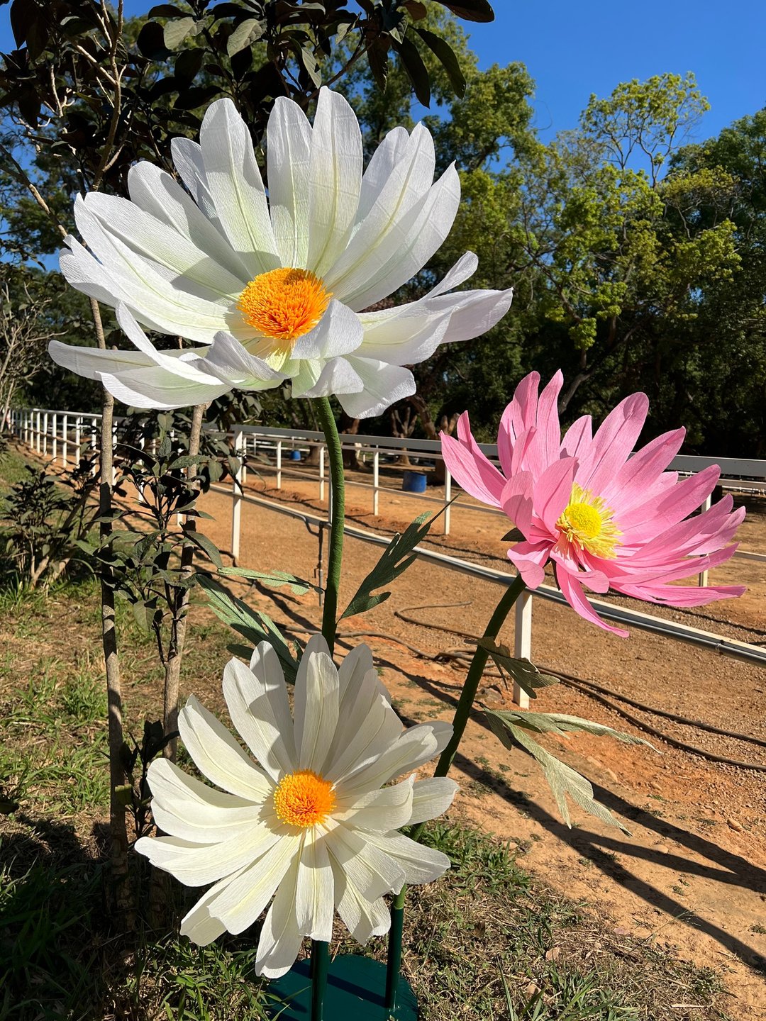 一对一手作 巨型花艺*纸艺雏菊* - 植栽 - 纸 