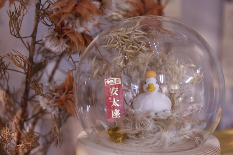 【大吉大利可爱动物系列花盅】_安太座鸭 - 干燥花/捧花 - 植物．花 多色