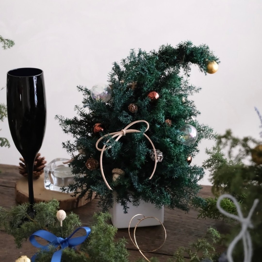 | 一人开班 | 永生不凋雪松精灵圣诞树 |  手作课程/圣诞体验 - 植栽 - 植物．花 