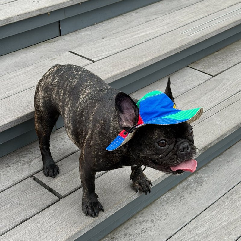 Zuuie Nova 双面宠物渔夫帽 户外宠物帽 - Lego 色 - 衣/帽 - 其他人造纤维 多色