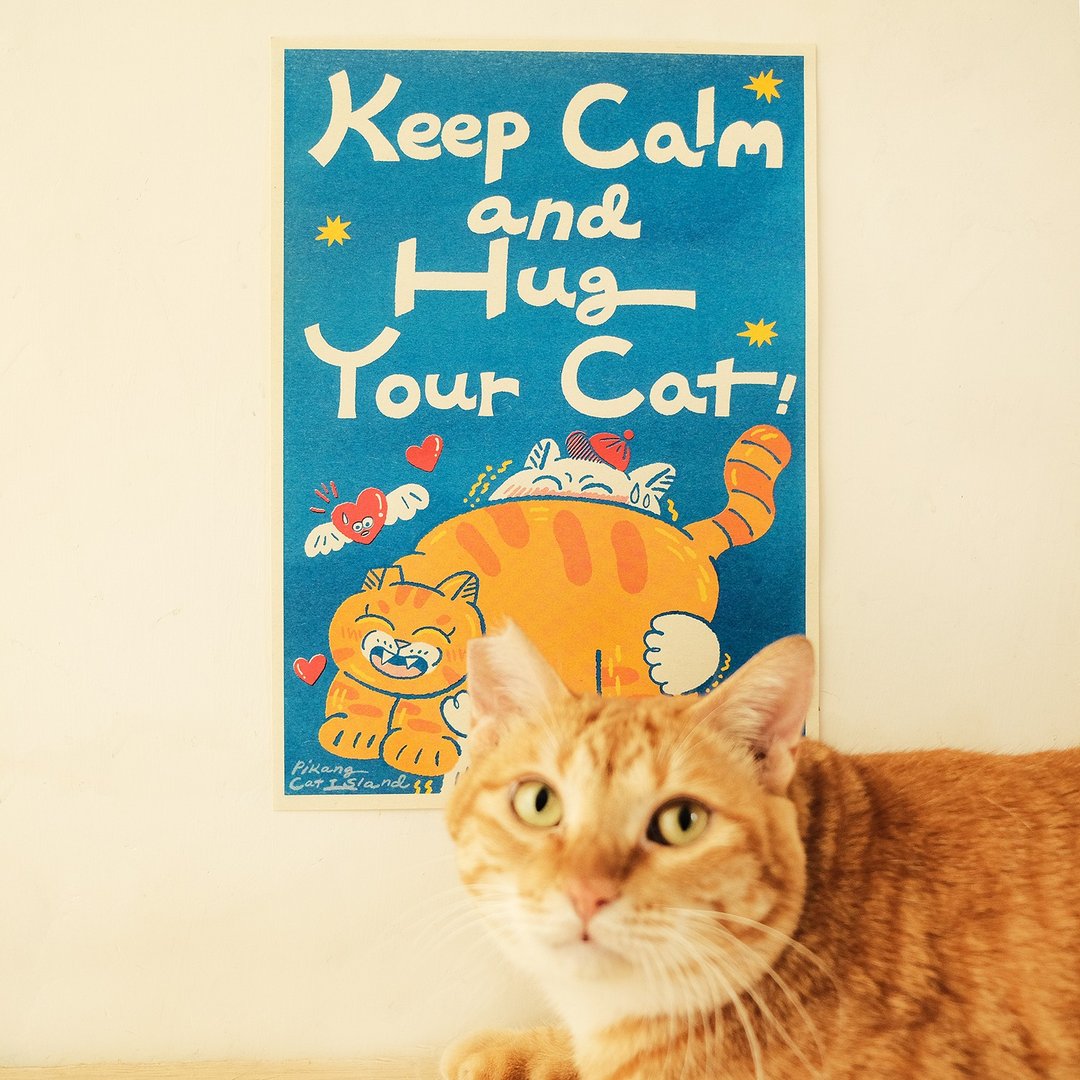 Keep calm and Hug your cat 海报 / A4 孔版印刷 - 海报/装饰画/版画 - 纸 蓝色
