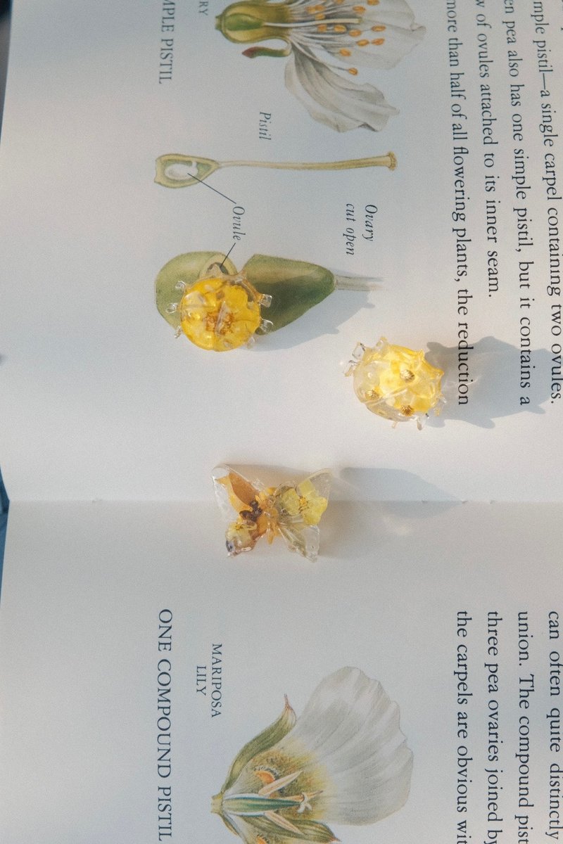 【昆虫图钉】大头针 押花 压花 树脂 蝴蝶 手作 疗愈 办公室小物 - 其他 - 植物．花 多色