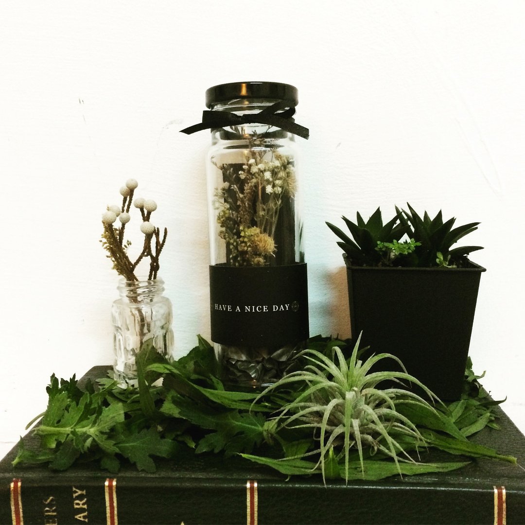 小星星干燥花礼物玻璃罐 - 植栽/盆栽 - 植物．花 多色