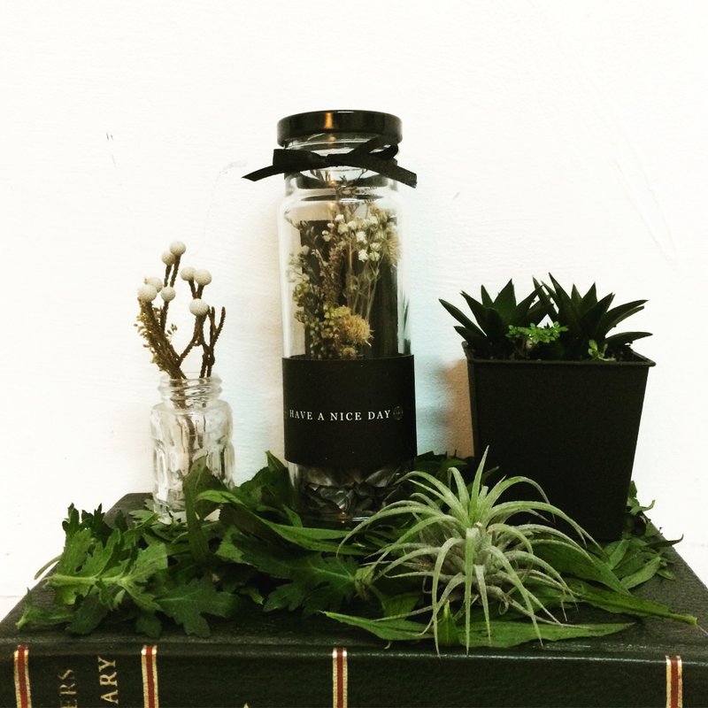 小星星干燥花礼物玻璃罐 - 植栽/盆栽 - 植物．花 多色