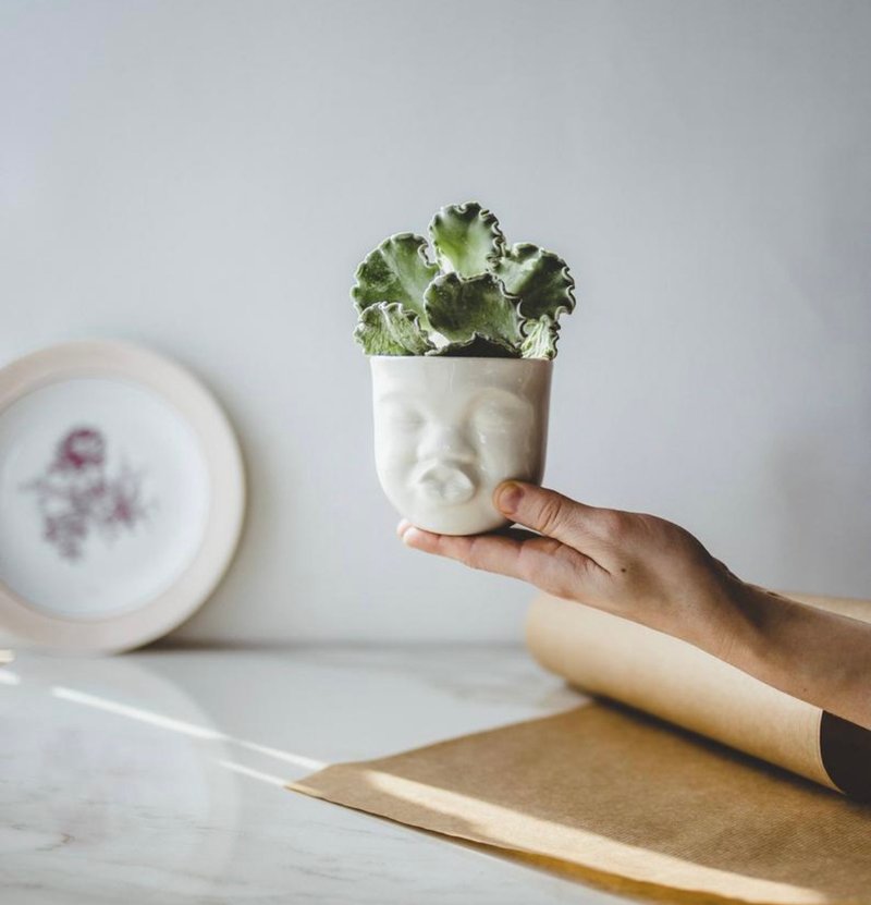Kissing planter 可爱表情陶瓷器皿 - 花瓶/陶器 - 瓷 白色