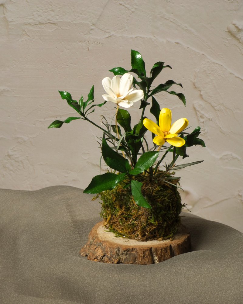 未夏系列 - 永生苔球 - 干燥花/捧花 - 植物．花 多色