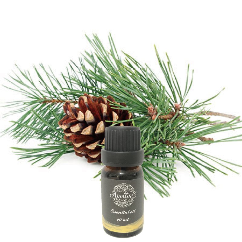 雪松精油 CEDARWOOD - 香薰/精油/线香 - 精油 