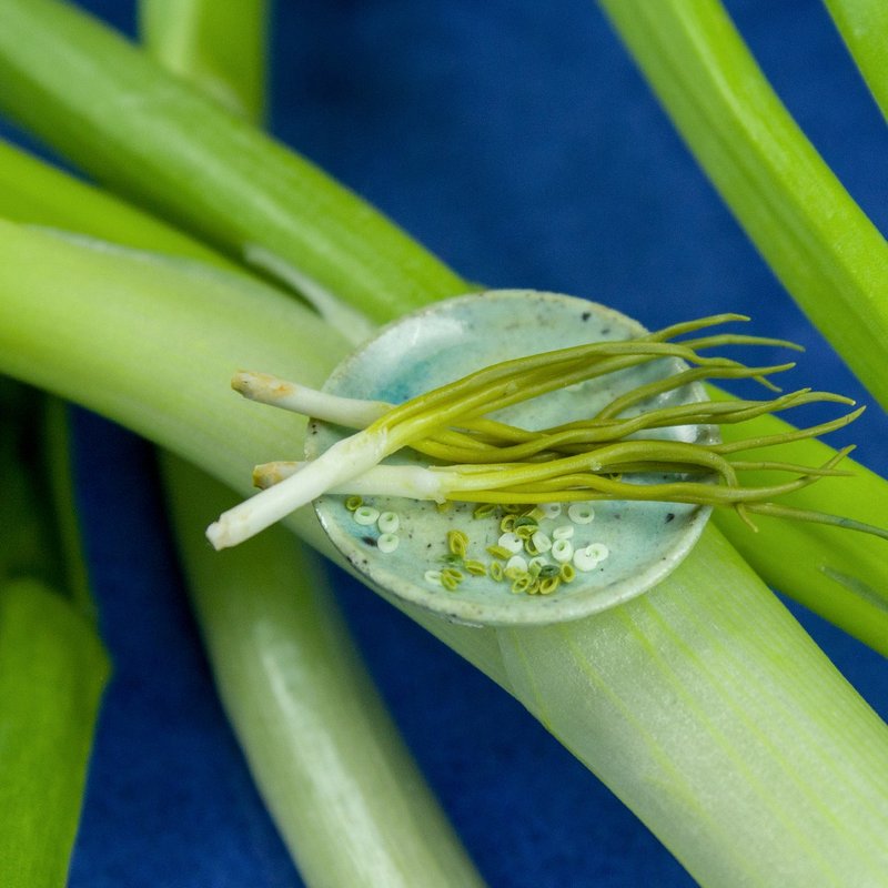 教程 用软陶制作微型葱 | PDF+视频 - 手工艺教程/工具书 - 其他材质 