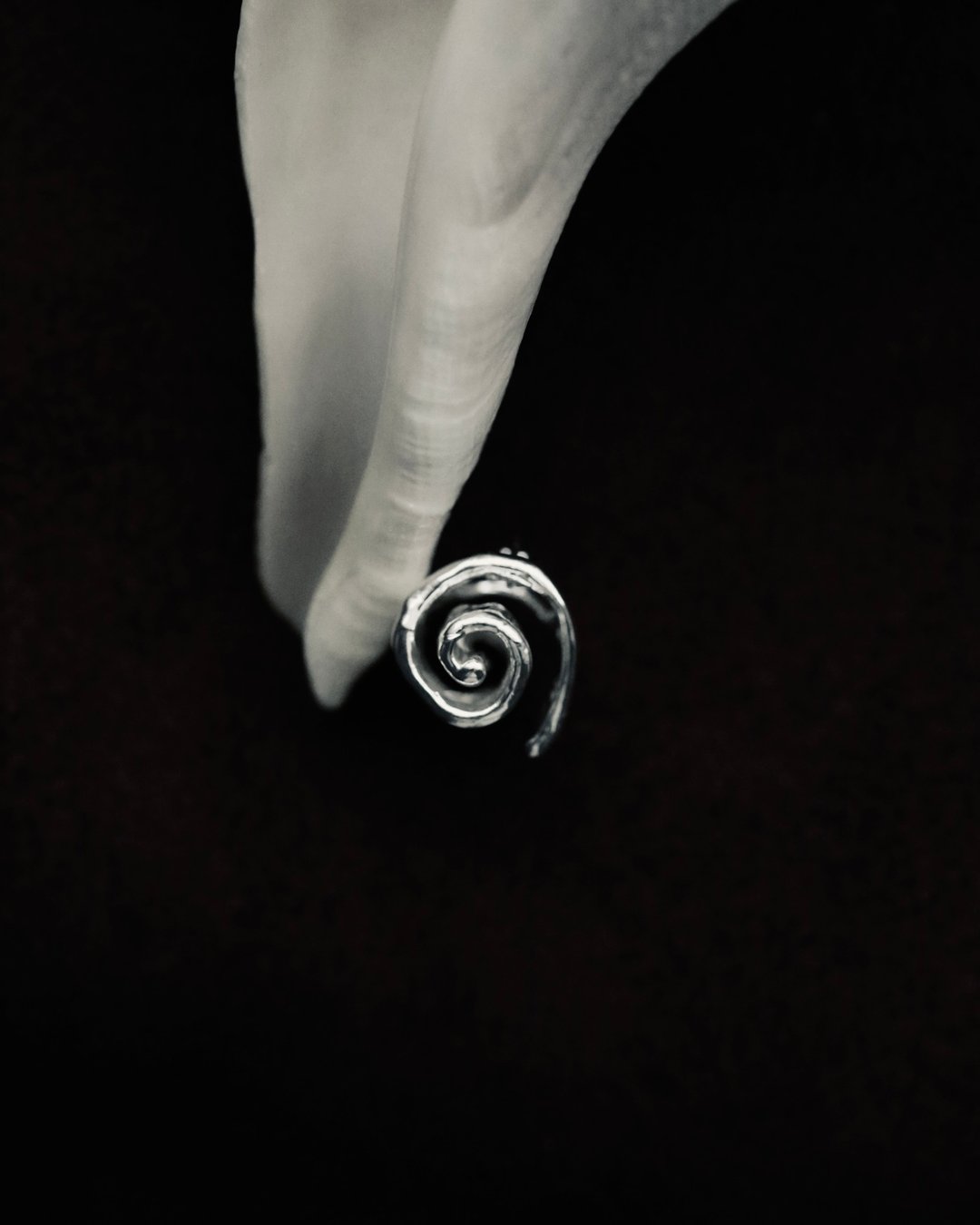 Tidal Coil Earrings | 潮蜷耳环 - 耳环/耳夹 - 纯银 银色
