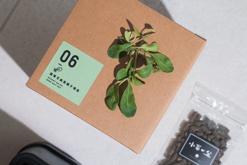 06圆叶芝麻叶种子_入坑礼物盒 - 植栽/盆栽 - 植物．花 