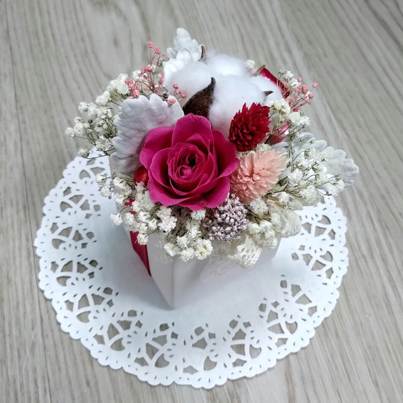 漫森态 干燥盆花/居家装饰/送礼/定制 - 干燥花/捧花 - 植物．花 粉红色