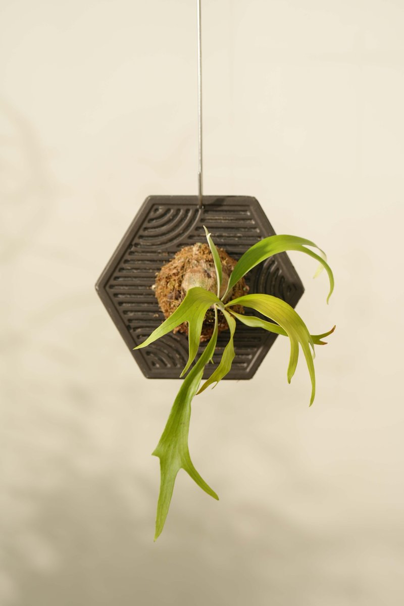 山水植板-和纸黑色 - 植栽/盆栽 - 竹 黑色