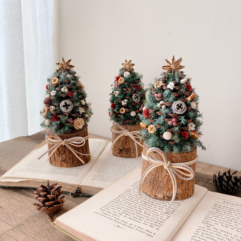 一人成班  经典热门 松果圣诞树手作体验 - 植栽 - 植物．花 