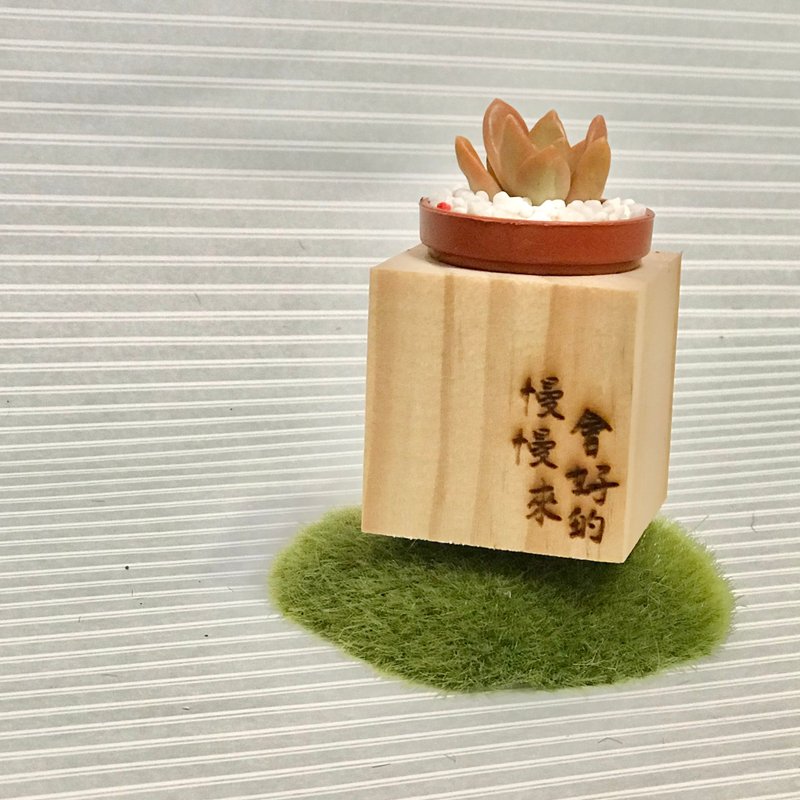 松木磁铁盆栽 手写雷雕系列 送多肉植物 - 植栽/盆栽 - 木头 咖啡色