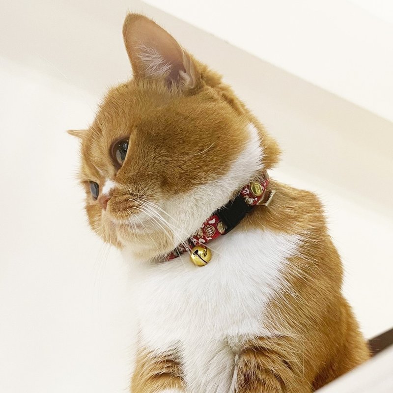 BORNIER猫咪安全扣项圈 祥狮献瑞反光图腾 3色 2尺寸 - 项圈/牵绳 - 尼龙 