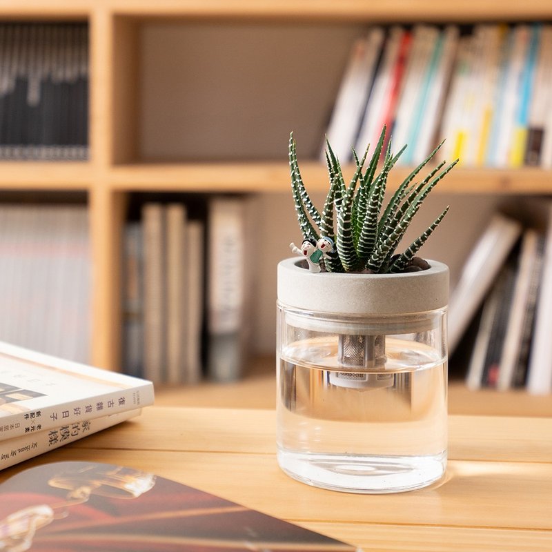 【防小人】水耕盆栽/木纹上盖含活体植物/室内植栽/简单照顾/公仔 - 植栽/盆栽 - 环保材料 银色