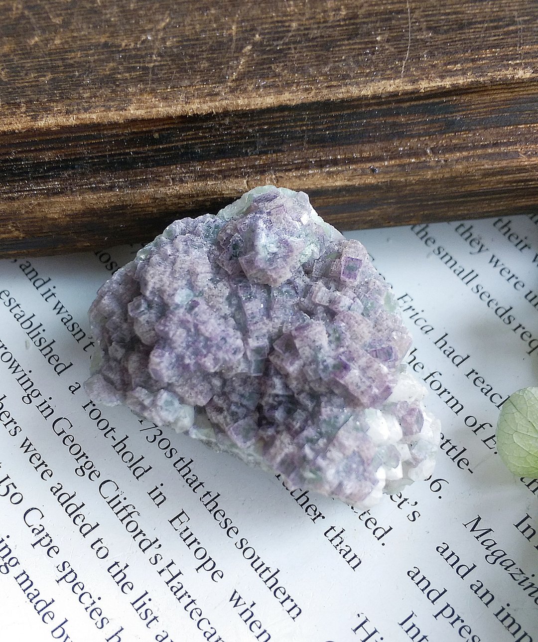Fluorite 内蒙产地  紫绿色双色萤石 方解石共生 天然矿石 原矿 - 摆饰 - 其他材质 