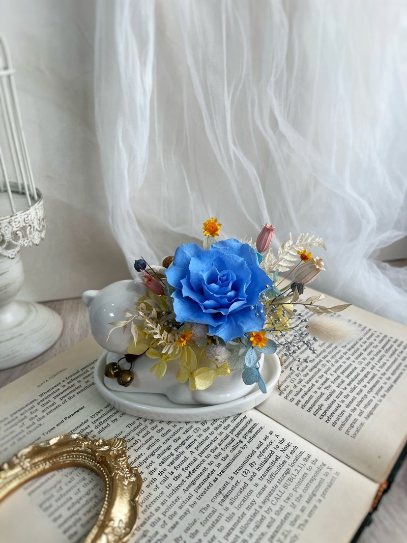 猫咪永生小盆花 /手作体验 / 一人成团 - 植栽 - 植物．花 