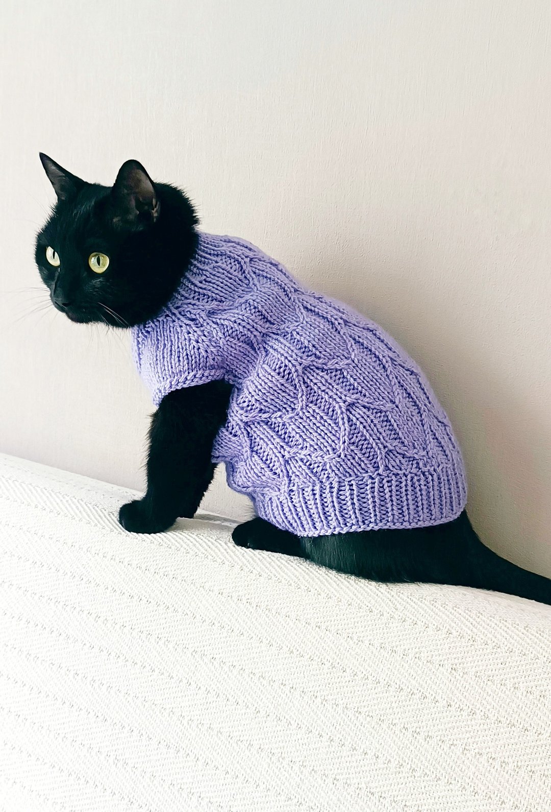 猫毛衣 狮身人面像毛衣 羊毛猫毛衣 狗狗毛衣 针织宠物衣服 - 衣/帽 - 羊毛 