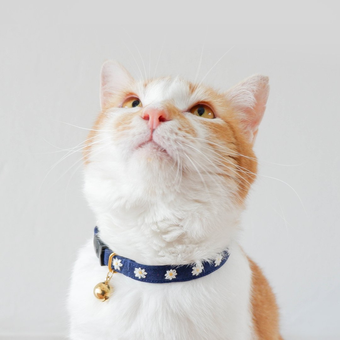 : MINI DAISIES : Indigo - Handmade embroidered flower breakaway cat collar - 项圈/牵绳 - 棉 蓝色