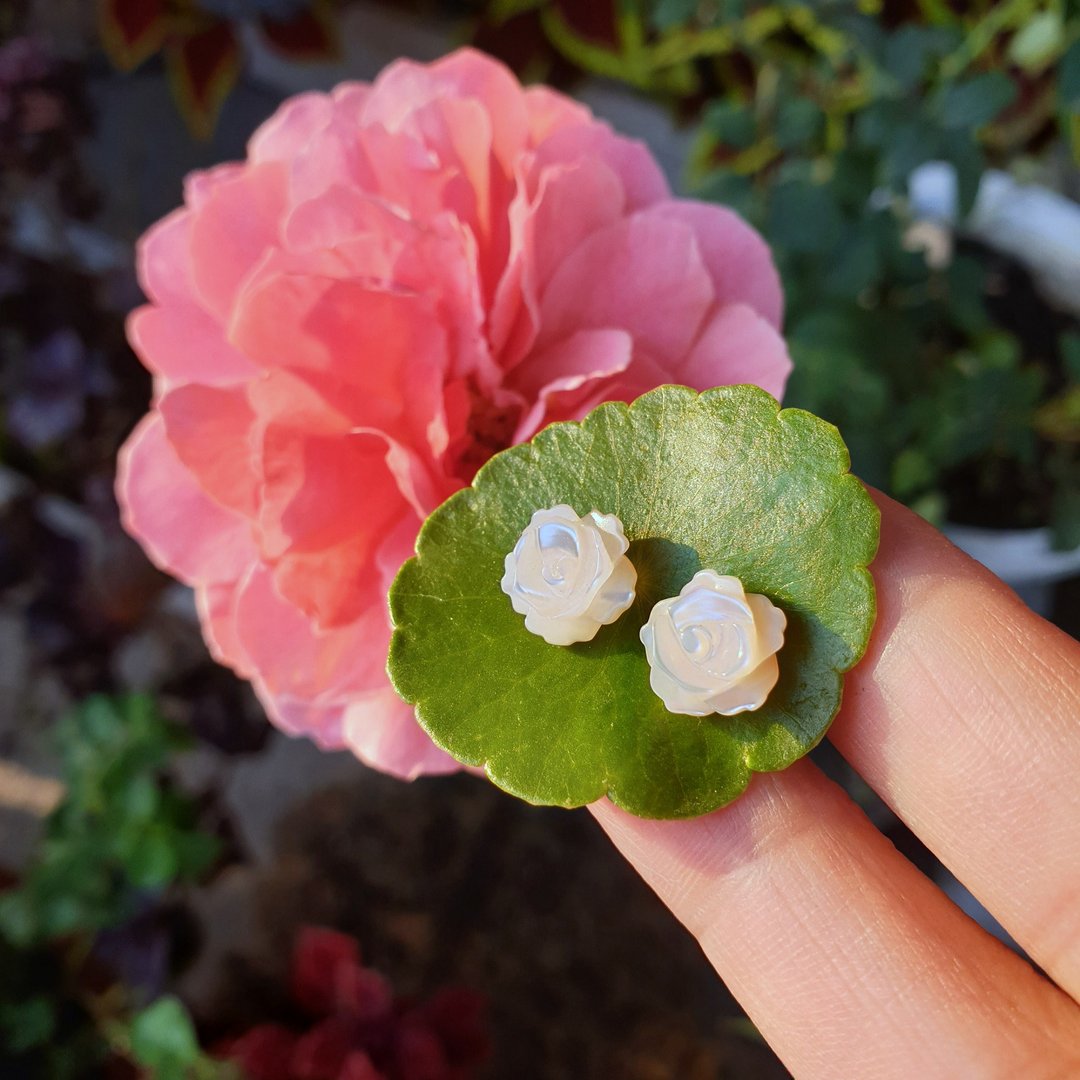 │蝶贝贝雕系列│白蔷薇蝶贝雕花耳针 - 耳环/耳夹 - 贝壳 白色