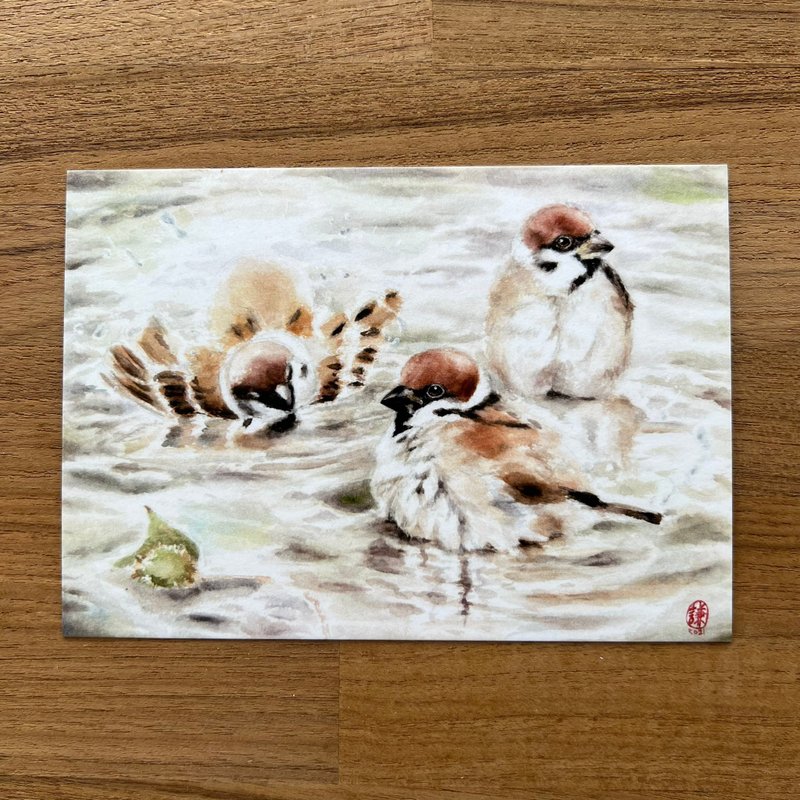 水浴雀球 明信片 - 卡片/明信片 - 纸 多色