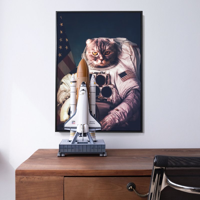 Space Cat-玄关挂画/卧房/复制画/猫咪/儿童房布置/太空/科幻 - 海报/装饰画/版画 - 棉．麻 蓝色