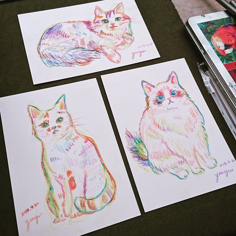 宠物色铅笔似颜绘 - 卡片/明信片 - 纸 多色