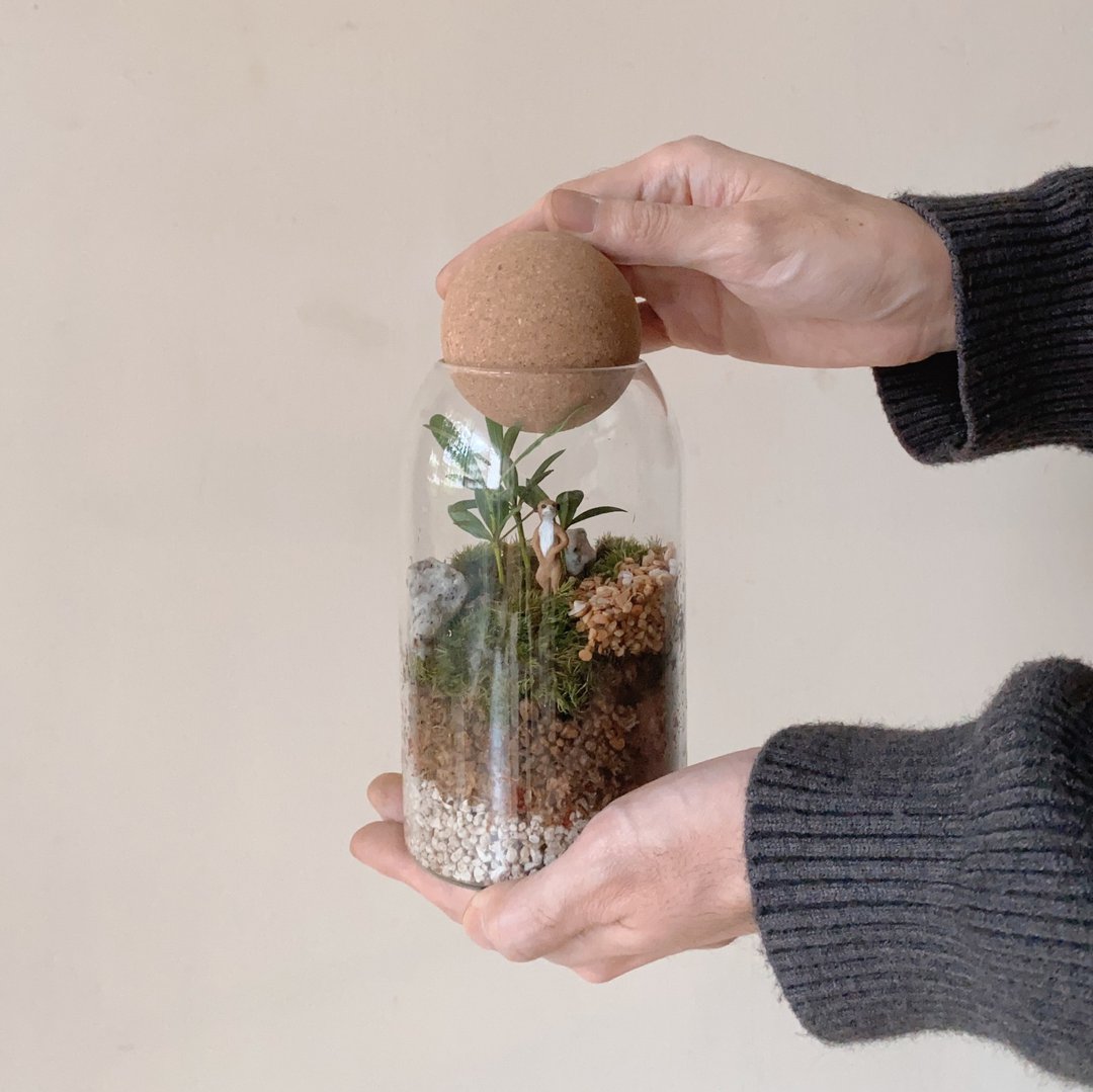 苔藓微景观玻璃罐 - 植栽/盆栽 - 植物．花 绿色