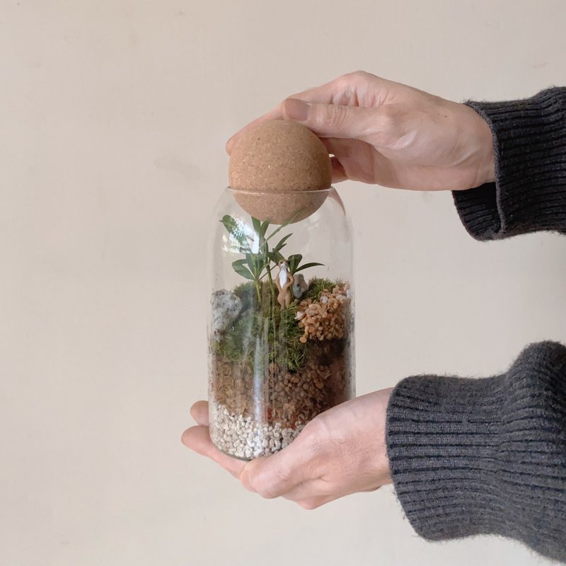 苔藓微景观玻璃罐 - 植栽/盆栽 - 植物．花 绿色