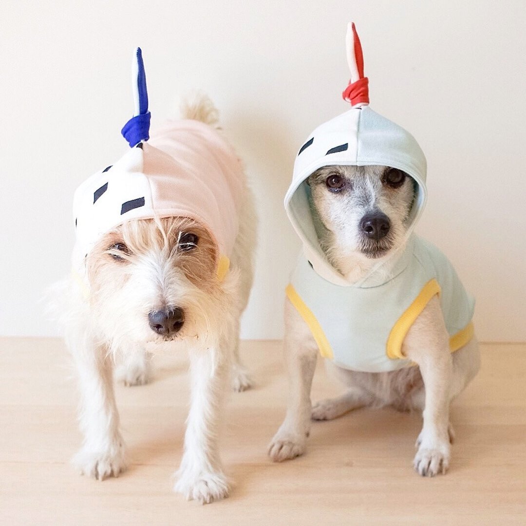 Dog hoodie Macaron / Strawberry - 衣/帽 - 棉 粉红色