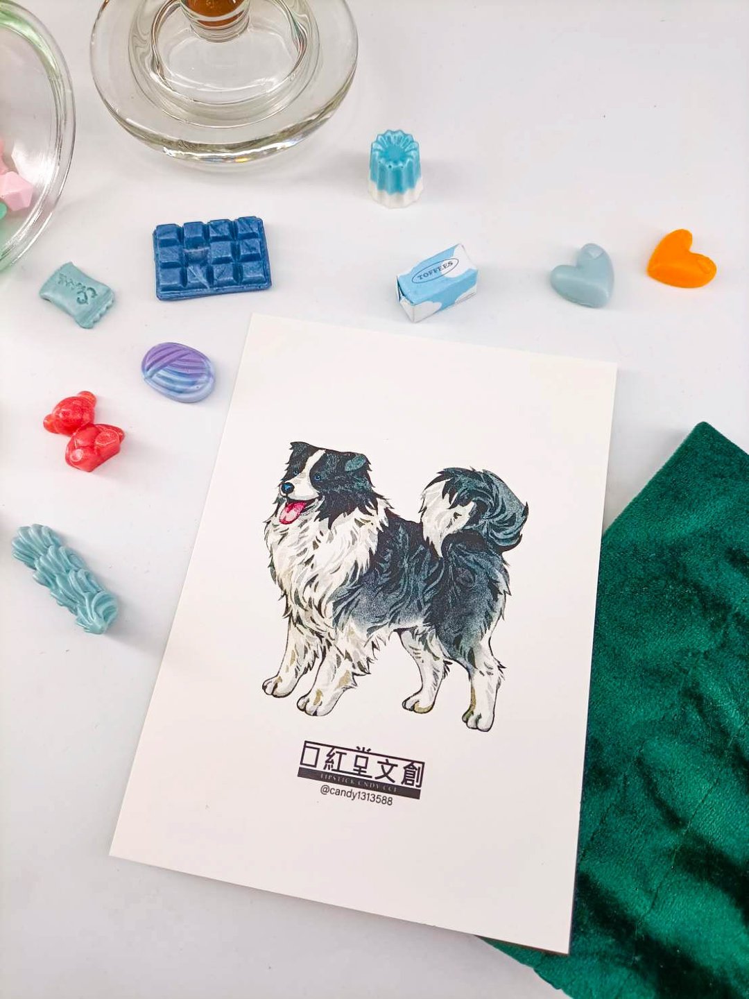 KR474_口紅堂明信片_邊境牧羊犬12_candy1313588 postcard - 卡片/明信片 - 纸 多色