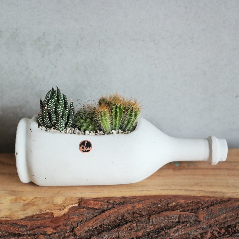 豆豆多肉植物与小杂货-手工泥盆手感随创系列-瓶瓶安安_仙仙组合 - 植栽/盆栽 - 水泥 白色