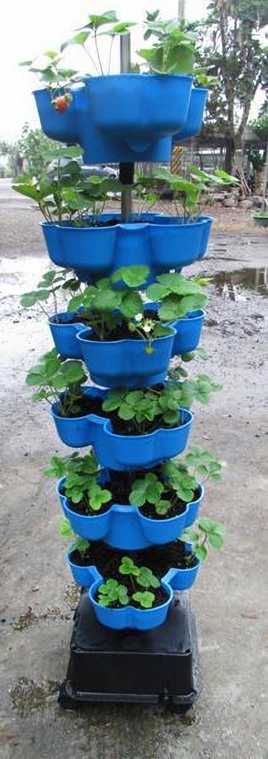 立体植栽花盆　蔬菜塔　适合都市农夫阳台有机种植　立体种菜箱 - 其他 - 塑料 绿色