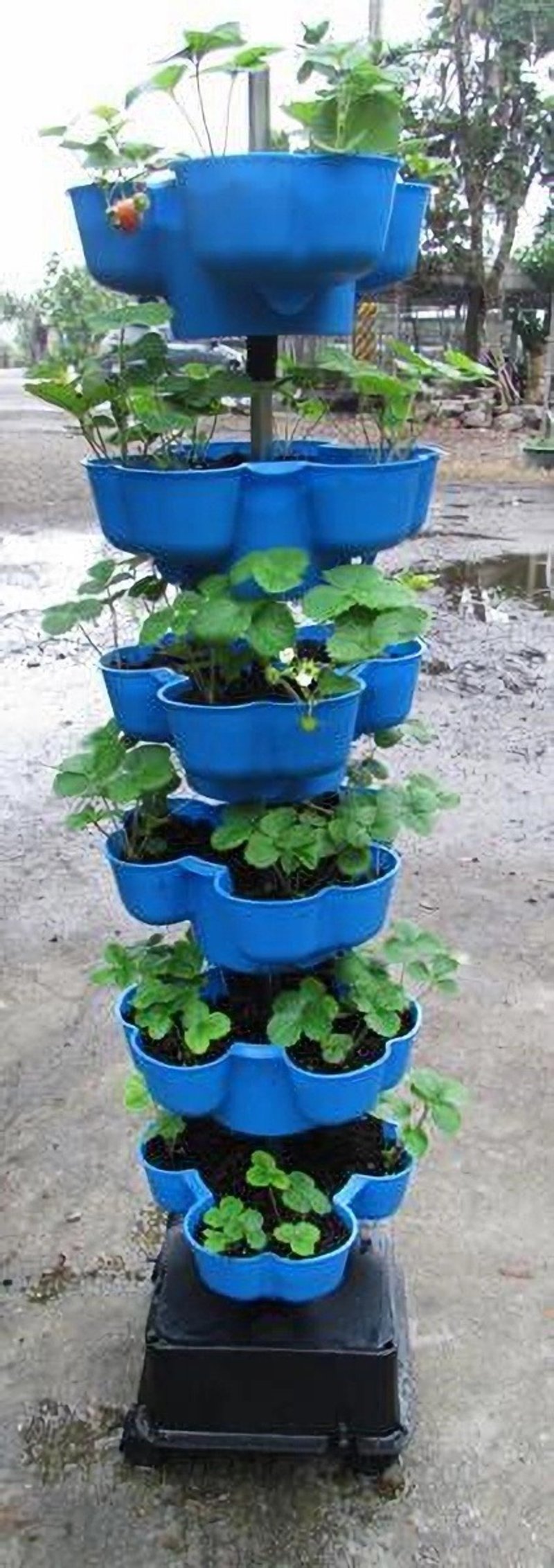 立体植栽花盆　蔬菜塔　适合都市农夫阳台有机种植　立体种菜箱 - 其他 - 塑料 绿色