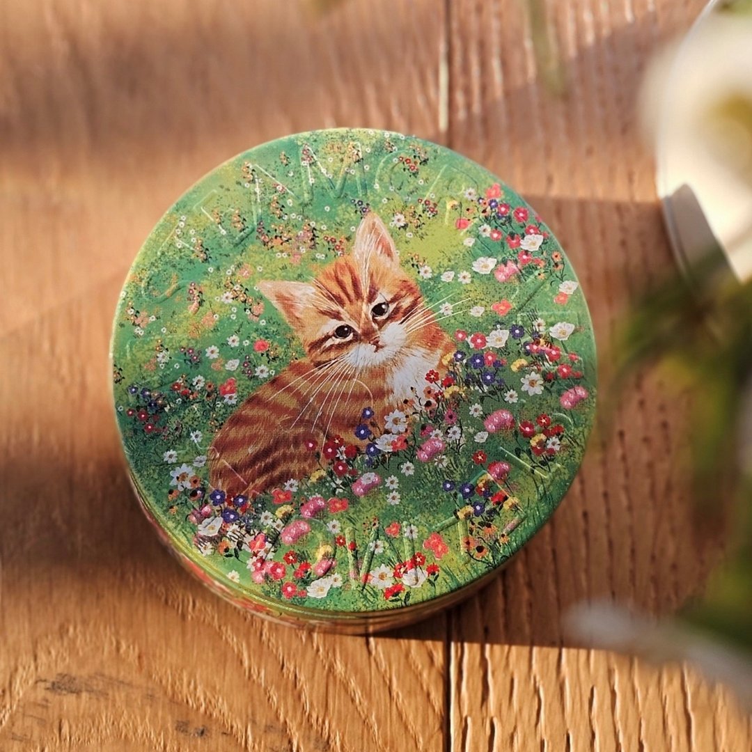 【即期良品】1478 猫与花 嗡嗡小橘猫 75g 效期2026/10 - 日霜/晚霜 - 其他材质 
