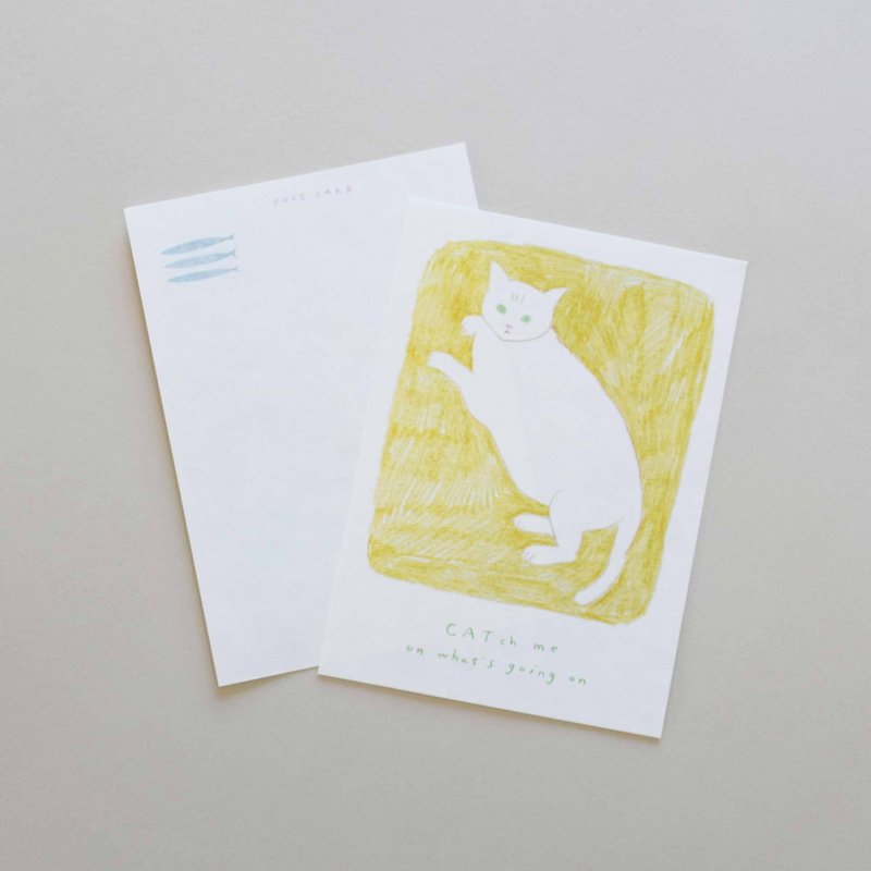 Post Card 猫 | CAT 明信片 - 卡片/明信片 - 纸 