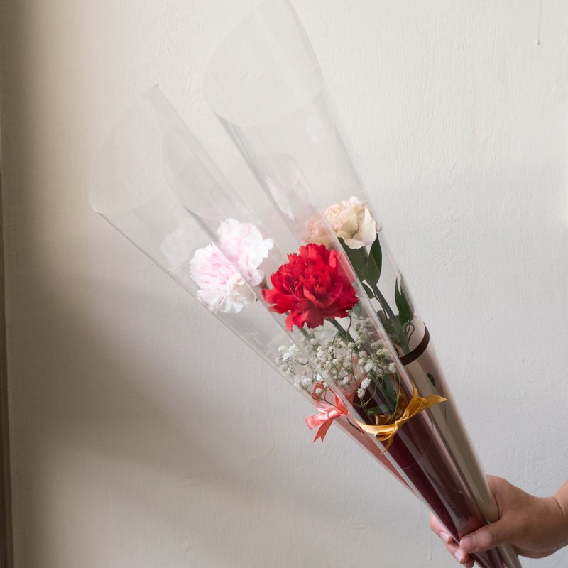 单支康乃馨甜筒包装(5入~) - 植栽 - 植物．花 粉红色