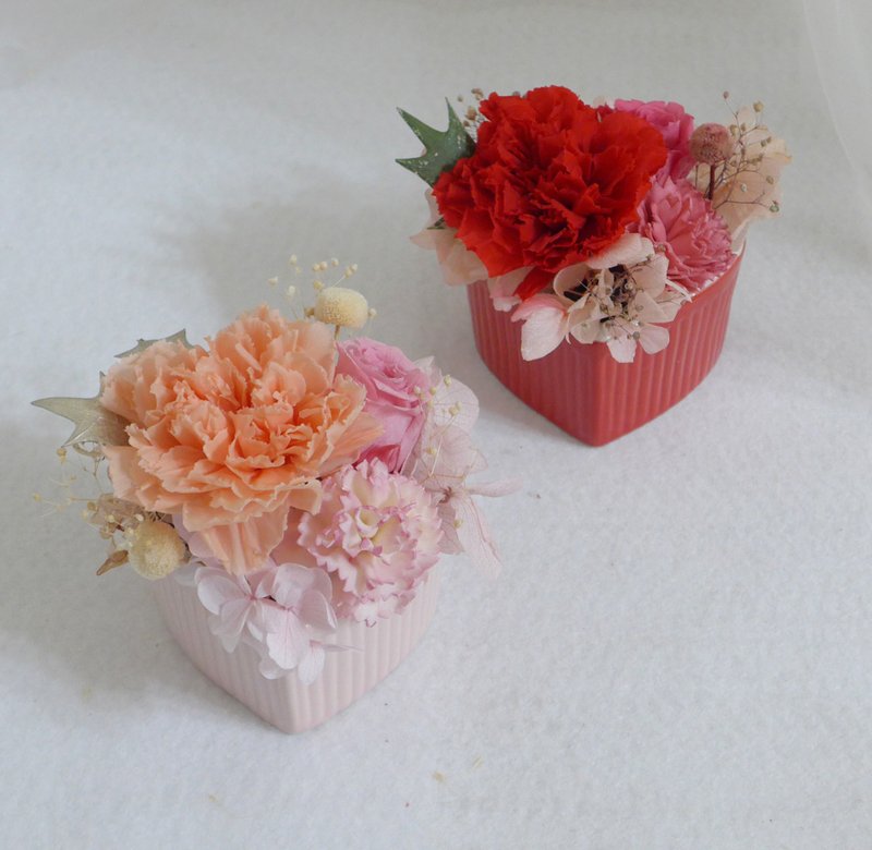出清|永生康乃馨爱心盆花 结婚捧花永生花母亲节情人节玫瑰生日 - 干燥花/捧花 - 植物．花 红色