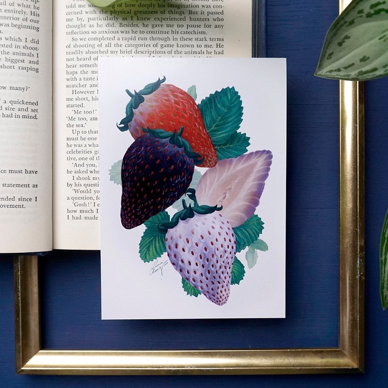 【菓然派对】艺术卡片| 红黑白草莓水果插画贺卡 - 卡片/明信片 - 纸 红色
