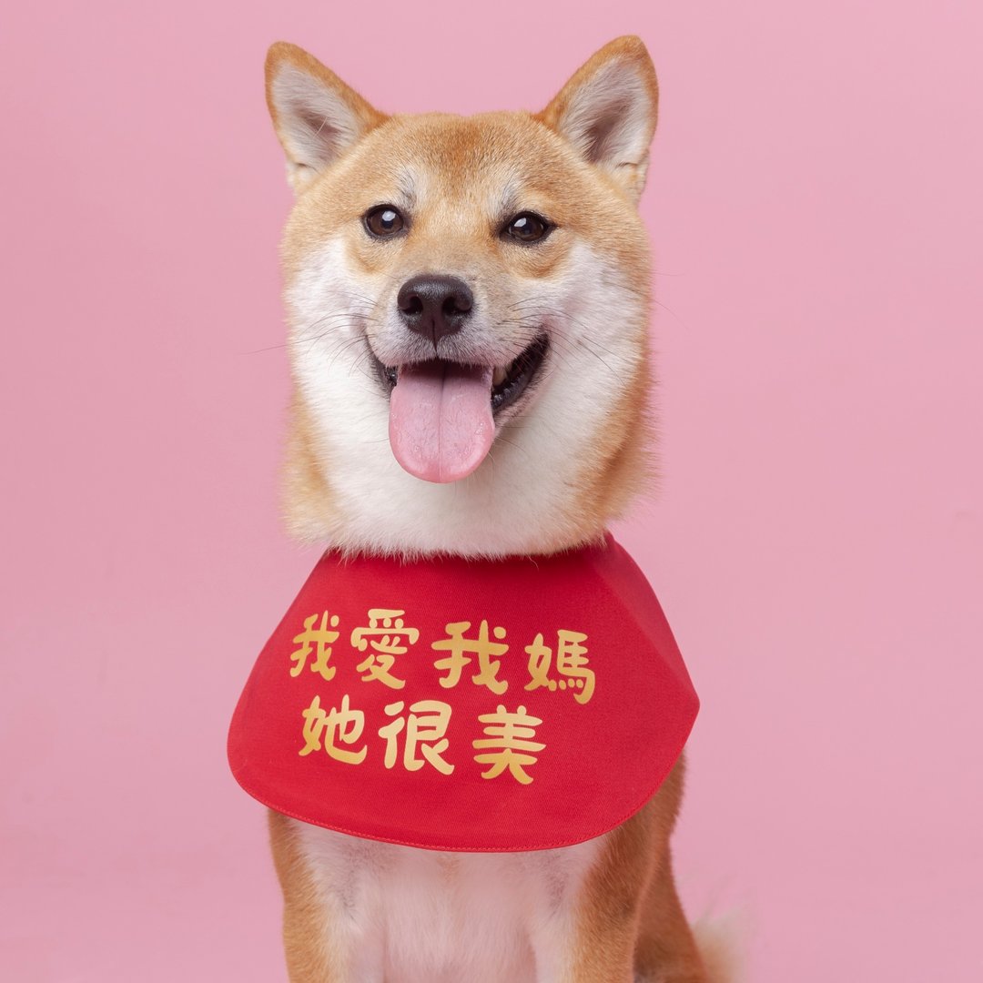 宠物国民领巾系列 | 我爱我妈她很美 | - 衣/帽 - 棉 红色