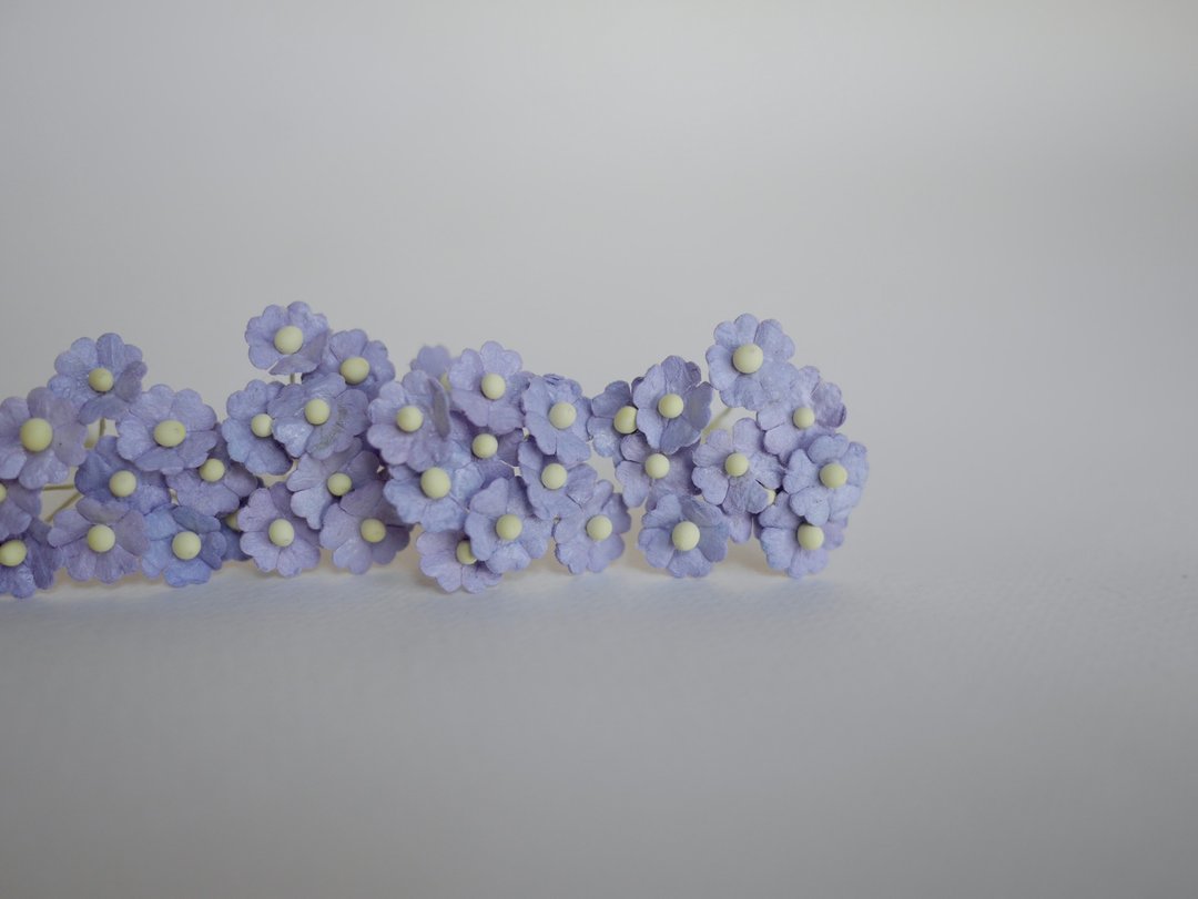 纸花，用品，100 件。加拿大海葵，尺寸 1.0 厘米，紫色 - 其他 - 纸 紫色
