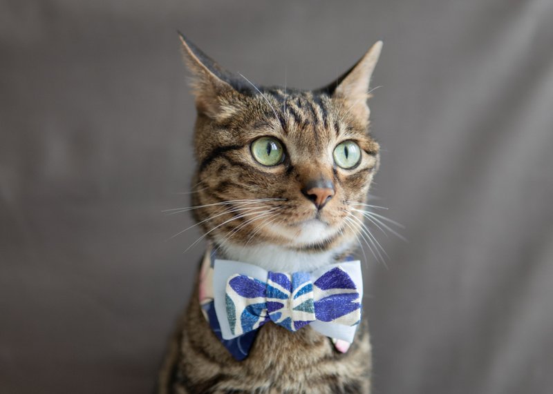 【和服・きもの系列】宠物领巾 猫咪/狗狗 和风 女生款 - 蓝黑色 - 项圈/牵绳 - 棉．麻 蓝色