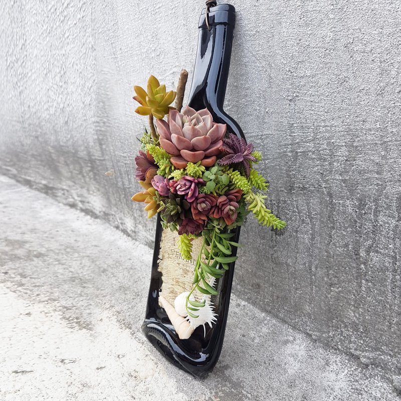 啜饮阳光海滩 多肉组盆(Sippin' on beach sunshine) - 植栽/盆栽 - 玻璃 