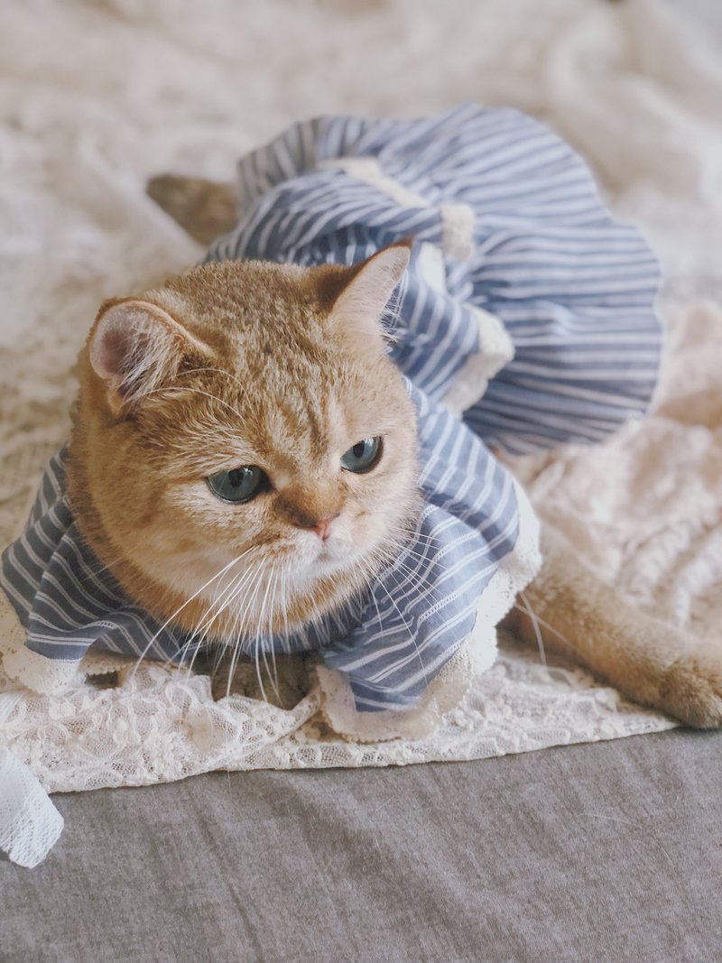 南法少女 海军蓝 猫咪连衣裙 小型犬衣服 - 衣/帽 - 棉．麻 蓝色